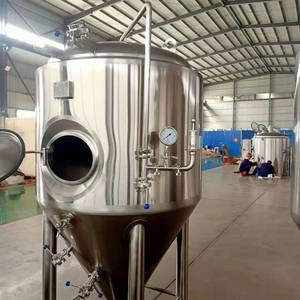 Attrezzatura per birrificio Tonsen 1000L per la produzione di birra - Product Image 5