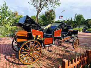 Voiture de tourisme électrique type Victoria à prix d'usine, transport spécial, carrosses de mariage et de tourisme à vendre - Product Image 5