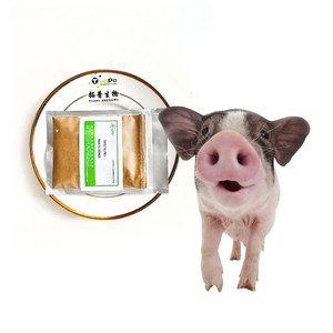 Alto para selenio, fermentación del ganado, vaca, polvo de cervecería, levadura nutricional para mascotas, cerveza, aditivos para piensos, levadura - Product Image 5