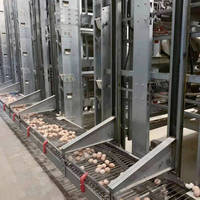 Système de batterie entièrement automatique de type H pour l'élevage de volailles Cages de batterie galvanisées pour poules pondeuses neuves