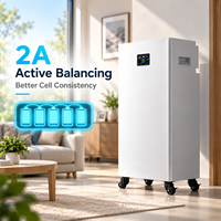 Batterie LiFePO4 sur pied 51,2 V pour stockage solaire domestique 15 kWh, conception de cabinet vertical avec BMS intelligent