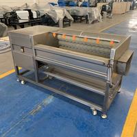 Automatische Borstelreinigingsmachine Fruit-En Groentewasmachine