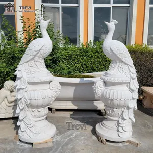 Maceta de piedra personalizada para jardín de fábrica de China, maceta de pavo real de mármol