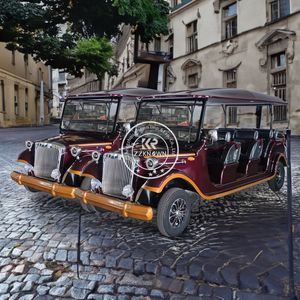 Autobús Turístico Antiguo de 8 Plazas, Carro de Golf Eléctrico, Vehículo de Club, Venta al Por Mayor 2025 - Product Image 6