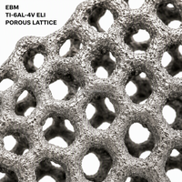 Implante Ortopédico Poroso de Ti-6Al-4V ELI Impreso en 3D con Estructura de Rejilla Mediada por Fusión por Haz de Electrones, Dispositivo Médico Personalizado OEM