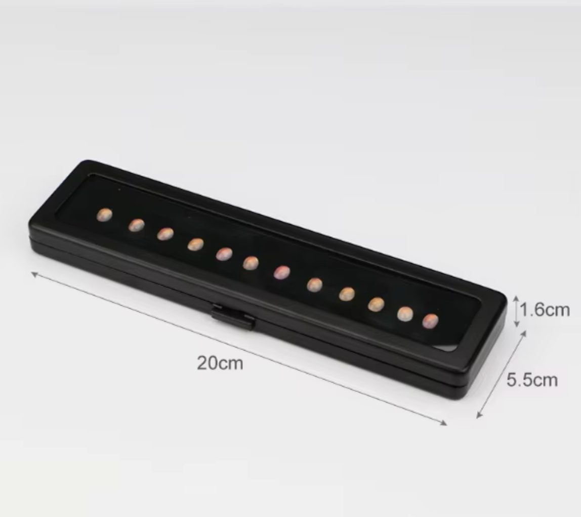 20*5.5*1.6cm