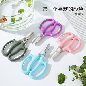 Ciseaux de fleuriste Pinheng en acier inoxydable, sécateur bypass bleu pour jardinage et arrangements floraux - Product Image 1