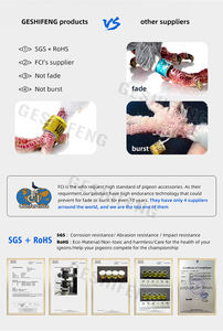 Anelli per Zampe di Uccelli Colorati GSF 2026 in Alluminio - Anello in Plastica per Piedi di Piccioni da Corsa - Product Image 6