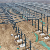 Bâtiments Industriels Préfabriqués pour Congélation Rapide, Grande Chambre Froide, Stockage de Poisson, Viande, Fruits et Légumes