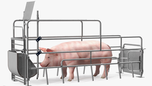 Gabbie per Allevamento e Allattamento Suini Trattate Termicamente con Mangiatoie, Gabbie per Scrofe e Gabbie da Parto per Uso Agricolo - Product Image 3