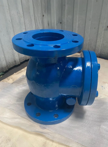 Válvula de Retención de Columpio de Hierro Dúctil GG50/GG25 con Brida DIN DN50 DN100 PN16 PN10 - Product Image 6
