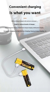 Kích thước 7 bền có thể sạc lại Alkaline pin <span class=keywords><strong>lithium</strong></span> cho các thiết bị gia dụng công cụ điện hình trụ <span class=keywords><strong>Lithium</strong></span> Ion pin - Product Image 4