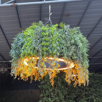 Décoration artistique moderne LED gazon artificiel suspendu au plafond fausses plantes PE matériel vivant pour l'extérieur et les bureaux pour les hôtels
