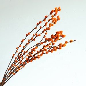 Fiore artificiale Secchi <span class=keywords><strong>Argento</strong></span> Salice Uso Naturale <span class=keywords><strong>Bouquet</strong></span> Caldo Conserve di Lunga Durata per il FAI DA TE Da Sposa Colorato Fiore Decorativo - Product Image 3