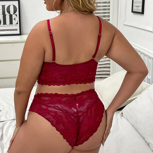 Wholesale Fat Girls Plus Size Embroidery <strong>Bra</strong> and Panties Sets Womens Panty Sexy Lingerie - Product Image 4