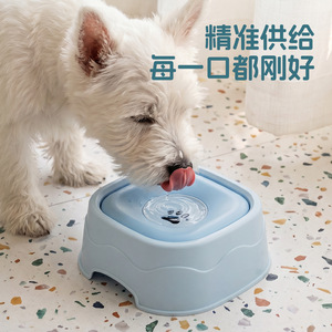 Distributeur d'eau automatique pour chats et chiens, matériau PP, aucune installation requise, fontaine à boire pour animaux de compagnie - Product Image 2