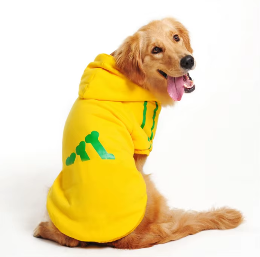 Gros chien jaune