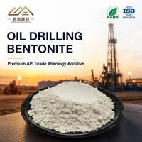 Poudre de bentonite pour forage pétrolier, norme API, 400 mesh, sans grumeaux