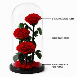 Wholesale Preserved Roses <strong>Bouquet</strong> in Glass Dome, Eternal Rose <strong>Forever</strong> Flower Gift Box for Valentine's Day Factory Custom - Product Image 3