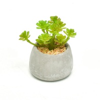 Plante en herbe artificielle en pot, Meilleure vente, Écologique, Moderne, Petite plante en herbe synthétique en pot de ciment
