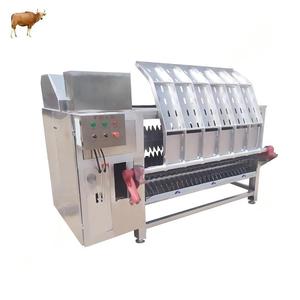 Machine d'écorchage des poils de chèvre, mouton, cochon – Machine à dépoiler les pattes de chèvre pour équipement de ligne d'abattage du bétail - Product Image 2