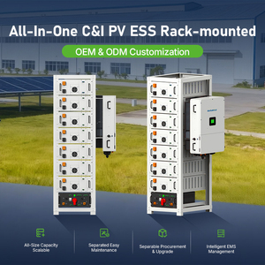 Sistema de Almacenamiento de Energía Solar VoltaNest de 100 kWh, 80 kWh, 40 kW, Conectado/Desconectado/Híbrido a la Red, Todo en Uno, Industrial, Montado en Rack - Product Image 4