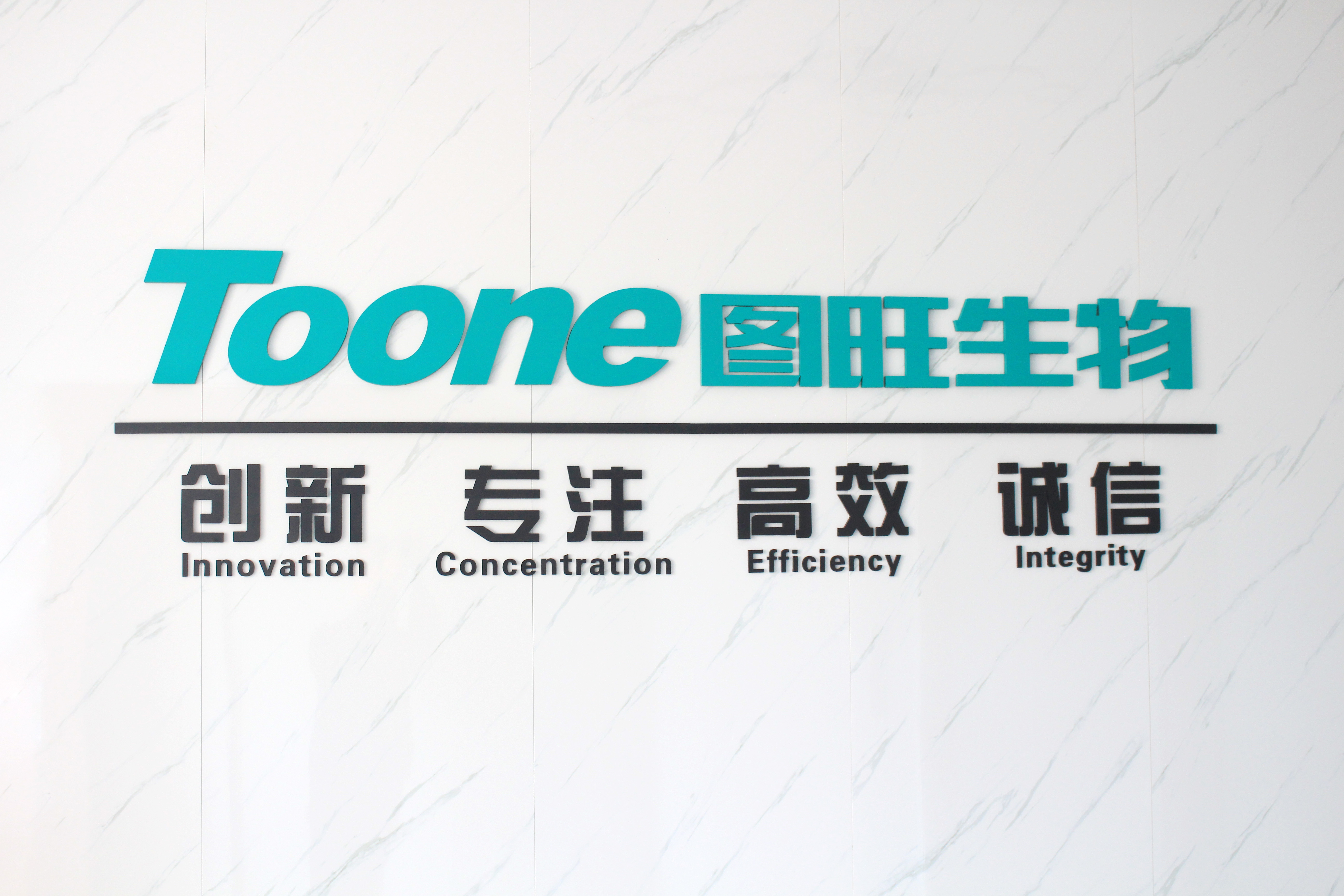 WENZHOU TOONE BIOTECHNOLOGY EQUIPMENT CO.,LTD logo