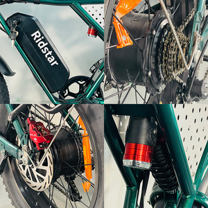 Bicicleta Eléctrica Todoterreno Ridstar Q20 48V 20Ah con Sidecar, Neumáticos Anchos, Bicicleta Híbrida para Adultos, Entrega de Comida, Bicicleta Eléctrica Q20 - Product Image 6