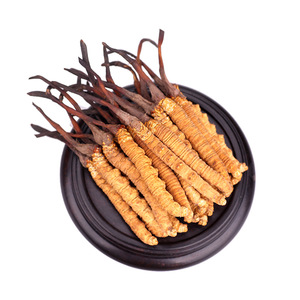 Strisce di <span class=keywords><strong>Cordyceps</strong></span> Militaris Essiccate 100g Senza Zolfo, Fungo Commestibile Coltivato per Zuppe e Infusi Erboristici, 3 Strisce per Grammo, Essiccate al Sole - Product Image 2