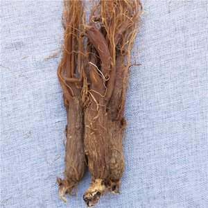 Hong shen preço a granel melhor qualidade original seca vermelho coreano <span class=keywords><strong>panax</strong></span> genseng raízes - Product Image 3