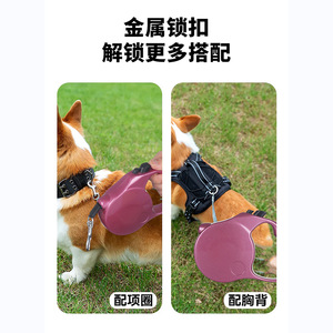 Laisse rétractable automatique pour chien, 5m, 5.8m, pour petits et moyens chiens, chats, corde de traction pour animaux de compagnie, couleur marron, bleu, rouge - Product Image 5