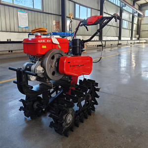Agriculture Tiller Herbe Weeder Labour Équipement <span class=keywords><strong>de</strong></span> tranchée Cultivateur avec râteau <span class=keywords><strong>Séparateur</strong></span> d'alimentation <span class=keywords><strong>de</strong></span> charrue - Product Image 3