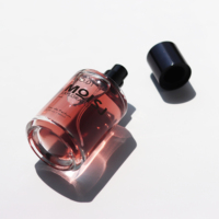 Botella de perfume de cristal reciclable OEM botella de perfume gorda exclusiva cilindro 60ml con tapa negra