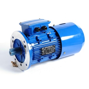 Motor Magnético Trifásico Serie YEJ AC 0.55kw/0.75kw/1.1kw con Precio de Fábrica - Product Image 3