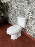 Ensemble WC deux pièces allongé en céramique, cuvette de toilette à poser au sol avec siphon en S, design moderne et motif de drainage pour salle de bain