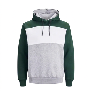 Men's Color Blocking Hooded Sweatshirt Regular Fit French Terry Cotton Polyester Autumn Casual Wear Custom LOGO Labels Printing - Product Image 1