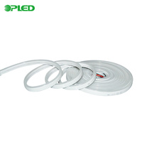 Populaire Led Ws2812B RVB Ip67 12V Flexible Silicone Led Flex Néon Rgbic Corde Néon Bande Lumineuse RVB Led Lumière