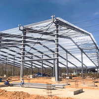 Structure en acier léger préfabriquée pour abri de bétail, élevage de moutons, chèvres et animaux, atelier de conception et abri pour plantes