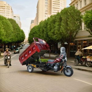 Tricycle Adult/dump Motorized Tricycle/zongshen Engine 200cc250cc300cc Cargo Tricycle - Product Image 5