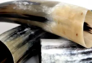 เขาสัตว์สำหรับดื่มสไตล์ไวกิ้งแท้ๆ สำหรับงานปาร์ตี้ธีมยุคกลางและงานเทศกาล ในราคาที่เข้าถึงได้ - Product Image 5