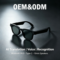 Lunettes Intelligentes IA avec Traduction Instantanée, Assistant Vocal, Haut-parleurs Doubles 13mm, Mains Libres pour Lunettes de Soleil, Reconnaissance d'Objets, Type-C