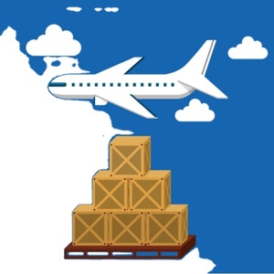 Logistics <strong>Dropshipping</strong> Freight Forwarding Forwarder International Shipping <strong>Companies</strong> Top10 Freight Forwarder Cheap Fast Air - Product Image 2