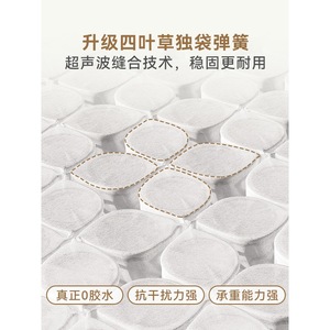 Matelas Sleep Well, fermeté moyenne, ressorts ensachés, housse amovible, pour chambre à coucher, usage domestique - Product Image 5