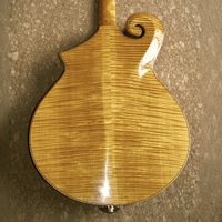 Guitare Jazz Archtop Électrique Faite à la Main Yunzhi, Corps Creux en Érable et Touche en Ébène, Micros H-H Professionnels, Personnalisable