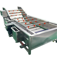 Machine à laver les fruits et légumes à grande capacité, à moteur, entièrement automatique, à écran vibrant pour pomelo, à économie d'énergie, vente chaude