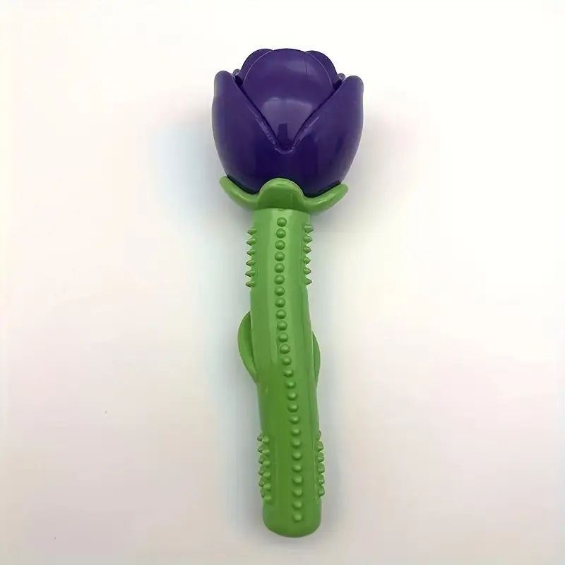 กุหลาบสีม่วง