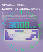 Clavier mécanique de jeu RGB 65% personnalisé à échange à chaud, trois modes, 68 touches, en stock