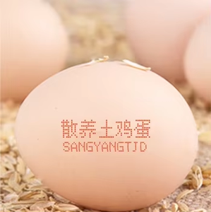 Machine d'impression de code sur œufs à longue durée de fonctionnement, machine d'impression d'œufs, cartouche d'impression d'œufs rouge - Product Image 6