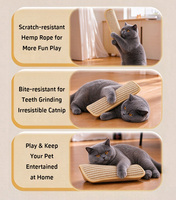 Vente directe usine – 4 choix : Griffoir pour chat en jute, coussin à herbe à chat, jouets à mâcher durables et écologiques pour animaux de compagnie, pour jouer en intérieur