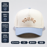 Op maat gemaakte fabrieks-5-delige 100% katoenen pet met 3D geborduurd opgezet logo, gestructureerde dad cap, hoge kwaliteit baseballpet